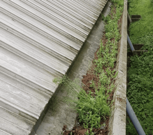 Happy customers in Borehamwood who trust The Roof Moss Cleaners for gutter cleaning services